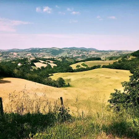 Lupin View Frühstückspension