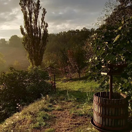 Lupin View Bed & Breakfast
